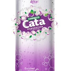500ml Carbonated  Mangosteen Flavor Drink